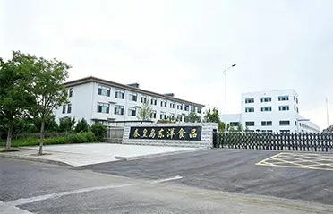 250 millió RMB befektetéssel és 40 000 ㎡ gyárral a Dongyang Foods erős alapot épített ki a kiváló minőségű instant tésztagyártáshoz. 250 millió RMB befektetéssel és 40 000 ㎡ gyárral a Dongyang Foods erős alapot épített ki a kiváló minőségű instant tésztagyártáshoz.