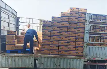 Hány ellenőrzőponton kell átmennie egy Mala Tang (fűszeres forró edény) tésztás palacsintának, mielőtt felrakják egy teherautóra Shenyangban?